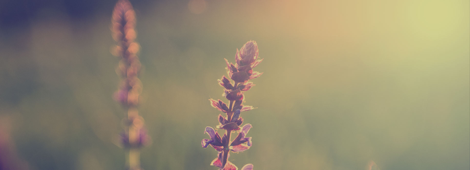 WE&rsquo;LL HELP MANAGE YOUR BUSINESS